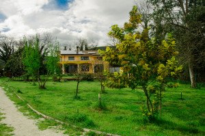 109_Agriturismo