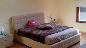 IMG_20160226_081753