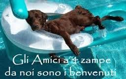 ammessi animali2