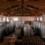 percorso enologico1